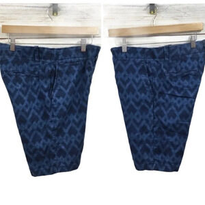 SH145 Gap The Lived In Preppy Flat Shorts 29